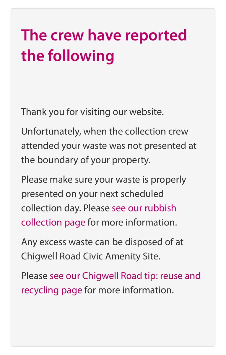 Molly 👑 tweet media