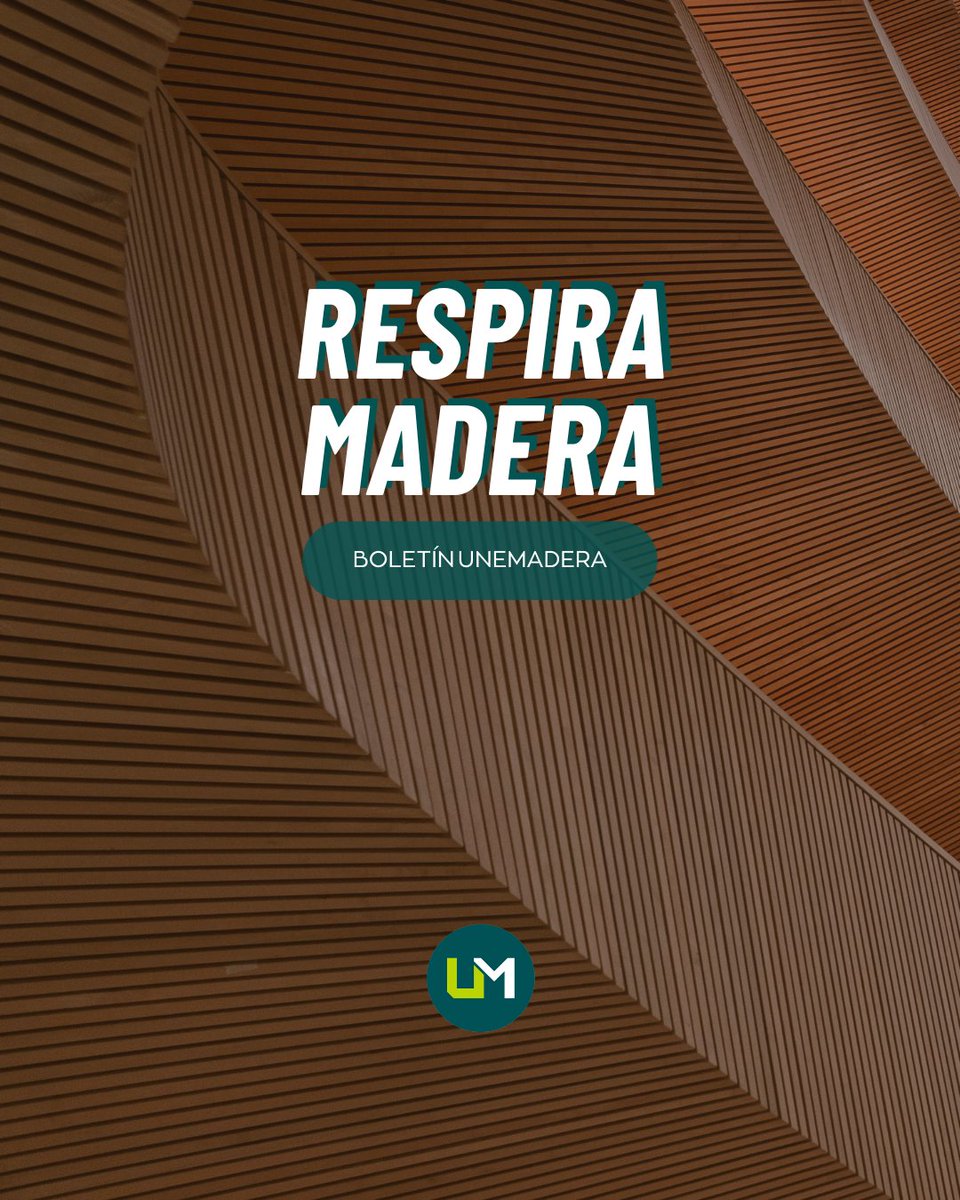 unemadera's tweet image. 📢 🌿 Respira madera 🌿 📢
📩 Suscríbete y mantente al día con las últimas novedades del sector, tendencias en diseño y construcción sostenible, entrevistas exclusivas y consejos de expertos. Todo en un solo clic.
🔗 Únete aquí ➡ unemadera.es/newsletter