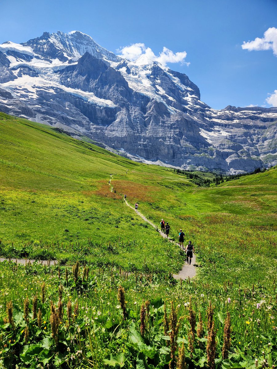 HikingSchweiz's tweet image. The Eiger Trail Ultra race series is coming up in a few weeks! Anyone running it this year? A few shots from last year's 35k. Good times! 🇨🇭 @UTMBWorldSeries