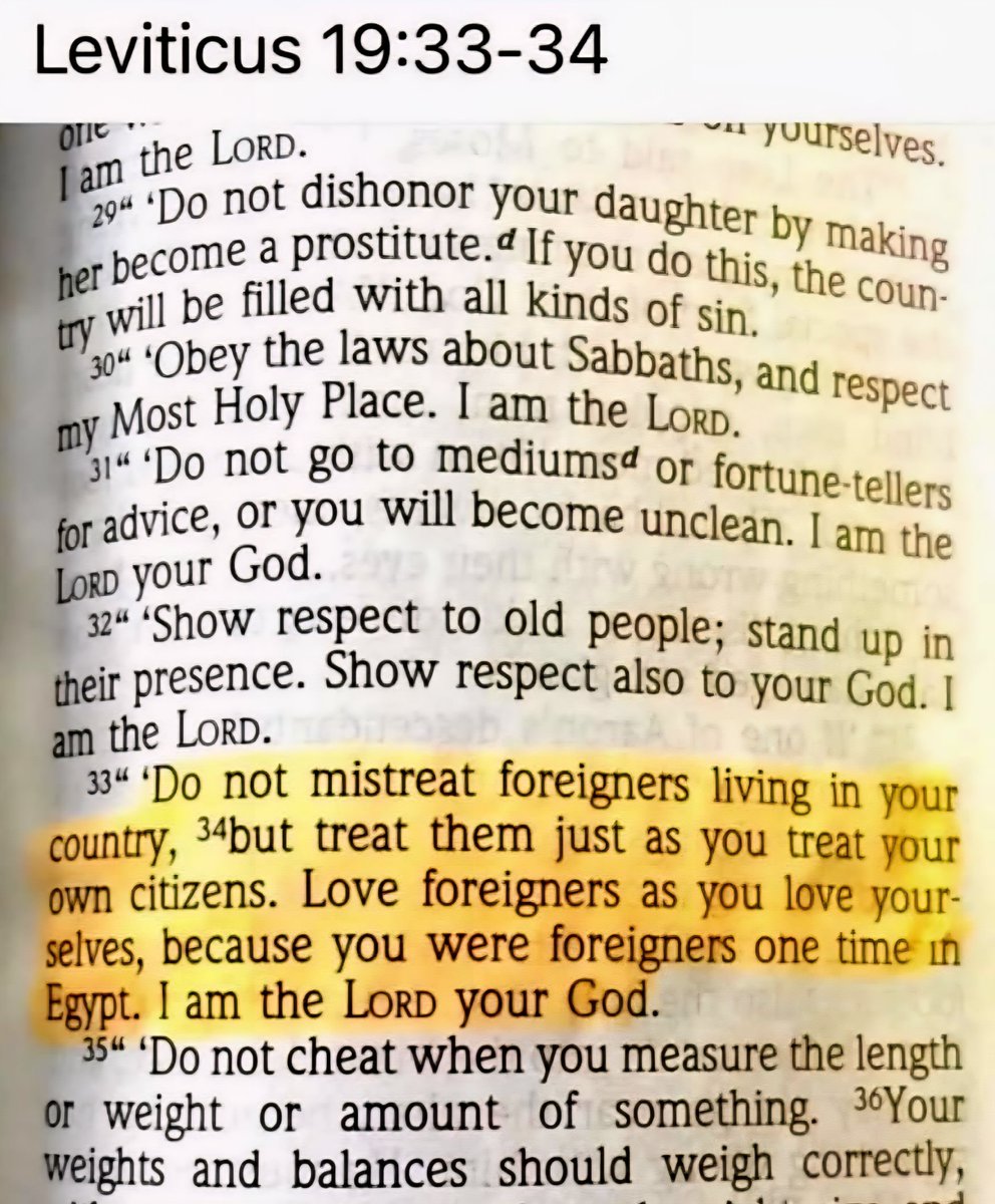 RichardAngwin's tweet image. Trump, Vance, Homan, Miller and Noem should read one of those Bibles they're selling.