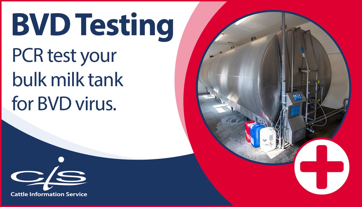 Bulk Milk Tank Testing 
Our fixed standard price for all Bulk Milk Tank BVD PCR testing is only £25 per sample. 

Contact your local CIS Area Manager for details: thecis.co.uk/contact-us/are…
