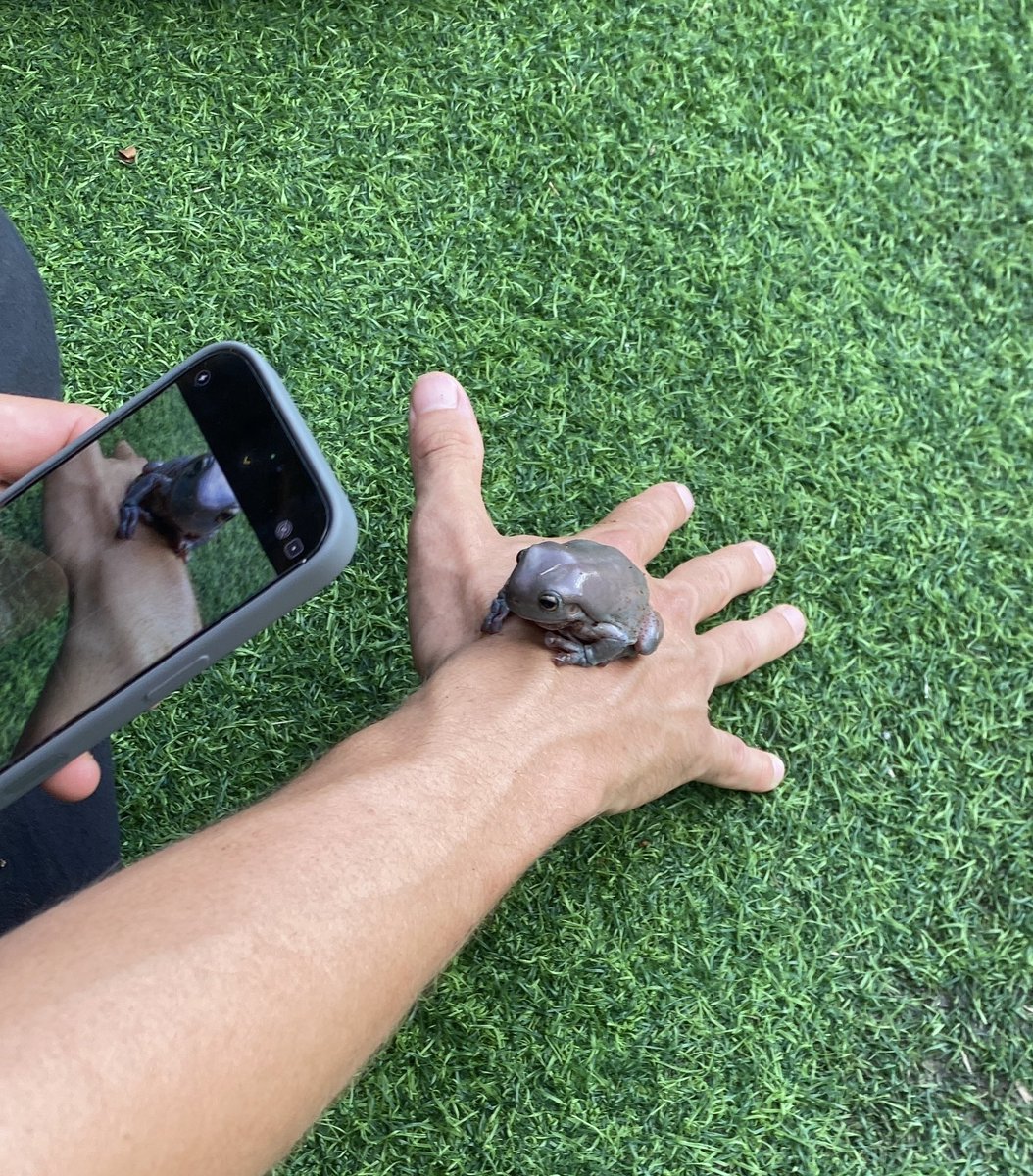 The grind doesn’t stop, even when we’re touching grass 🐸