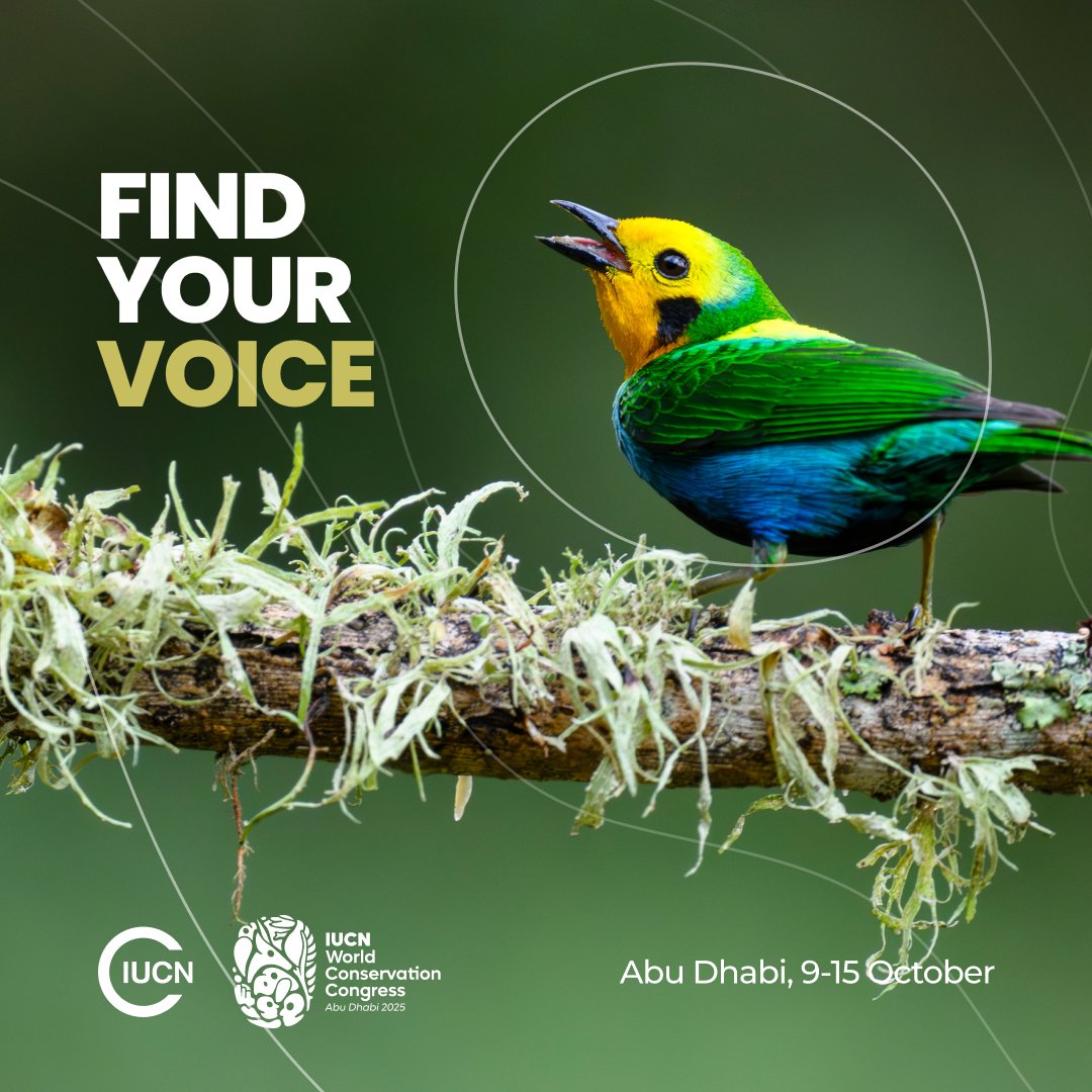 Still looking to join #IUCNCongress 2025? 

A few spots remain to book a booth or pavilion at one of the world’s largest conservation exhibitions! 

Learn more about booking options and benefits: iucncongress2025.org/exhibition