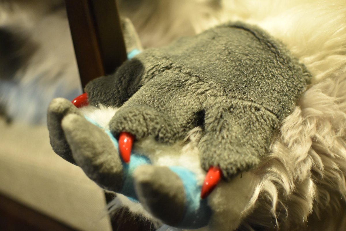 perrucherc's tweet image. じゃれ合い