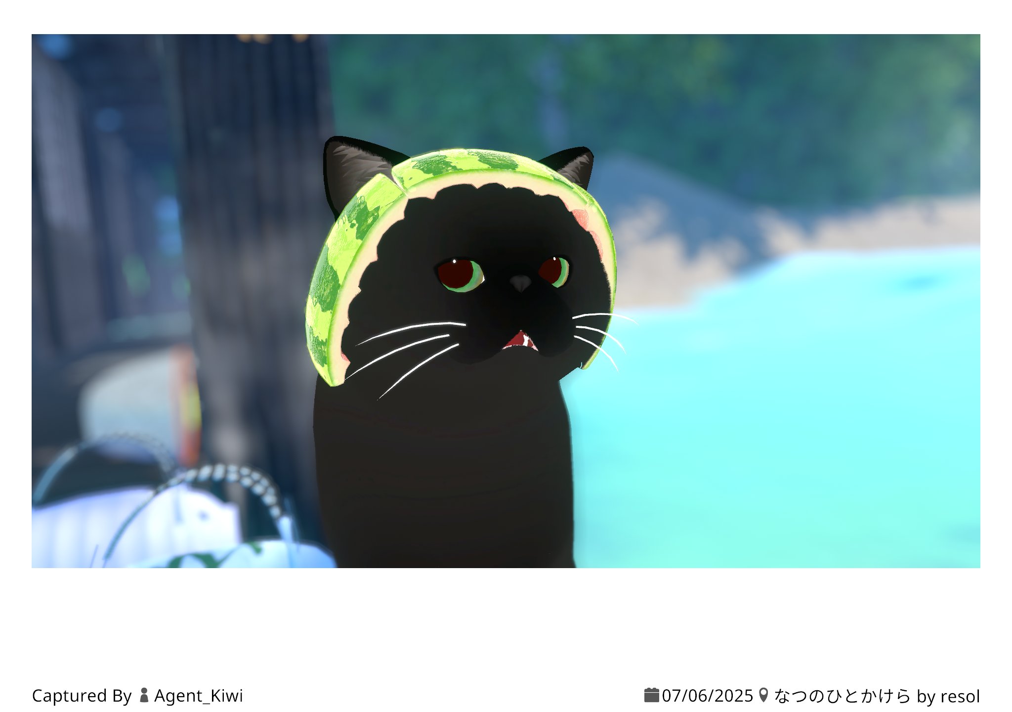 うさねこ on X: 