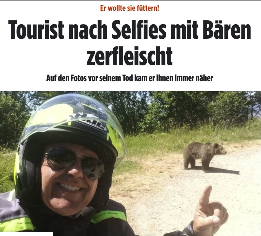 Damit hat er sich selbst einen Bärendienst erwiesen.