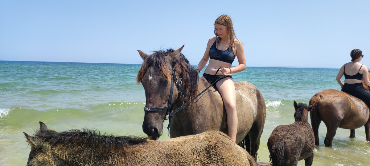 SlavaLim's tweet image. Все смешалось - кони, люди, пикник и купание... 🤘Мегапоход. Где-то на Казантипе, в районе Лим-по-по. 🌊🍖🐴👯‍♀👯‍♂🌞🌴🔥