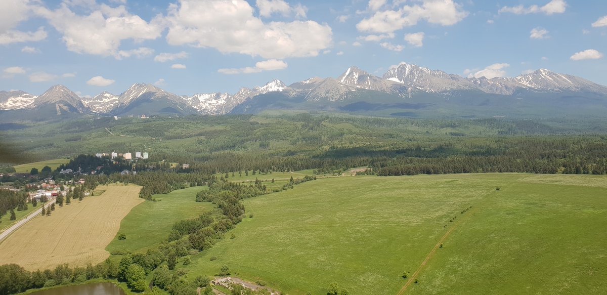 Jonathan Davison tweet media