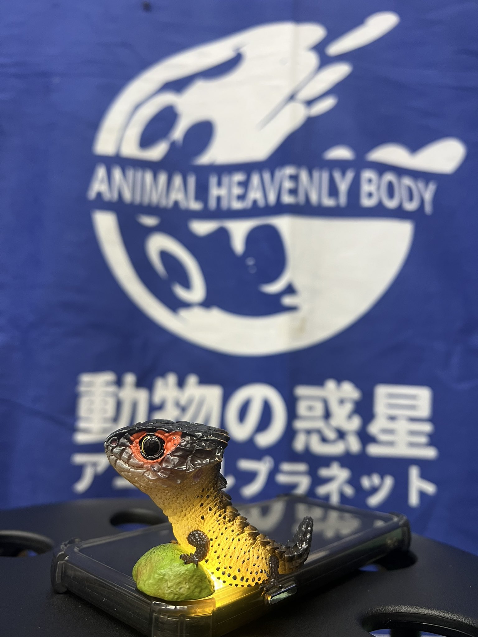 動物の惑星 アニマルプラネット（シークレット）フィギュア