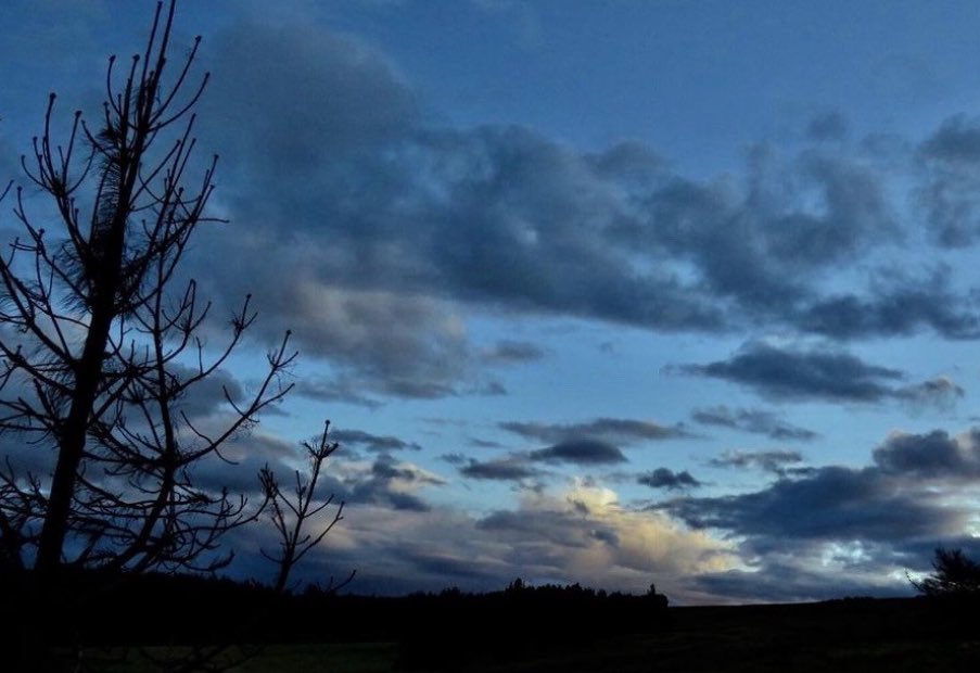 skyandtide's tweet image. almost forgot what it felt like
but then the sky looked like this