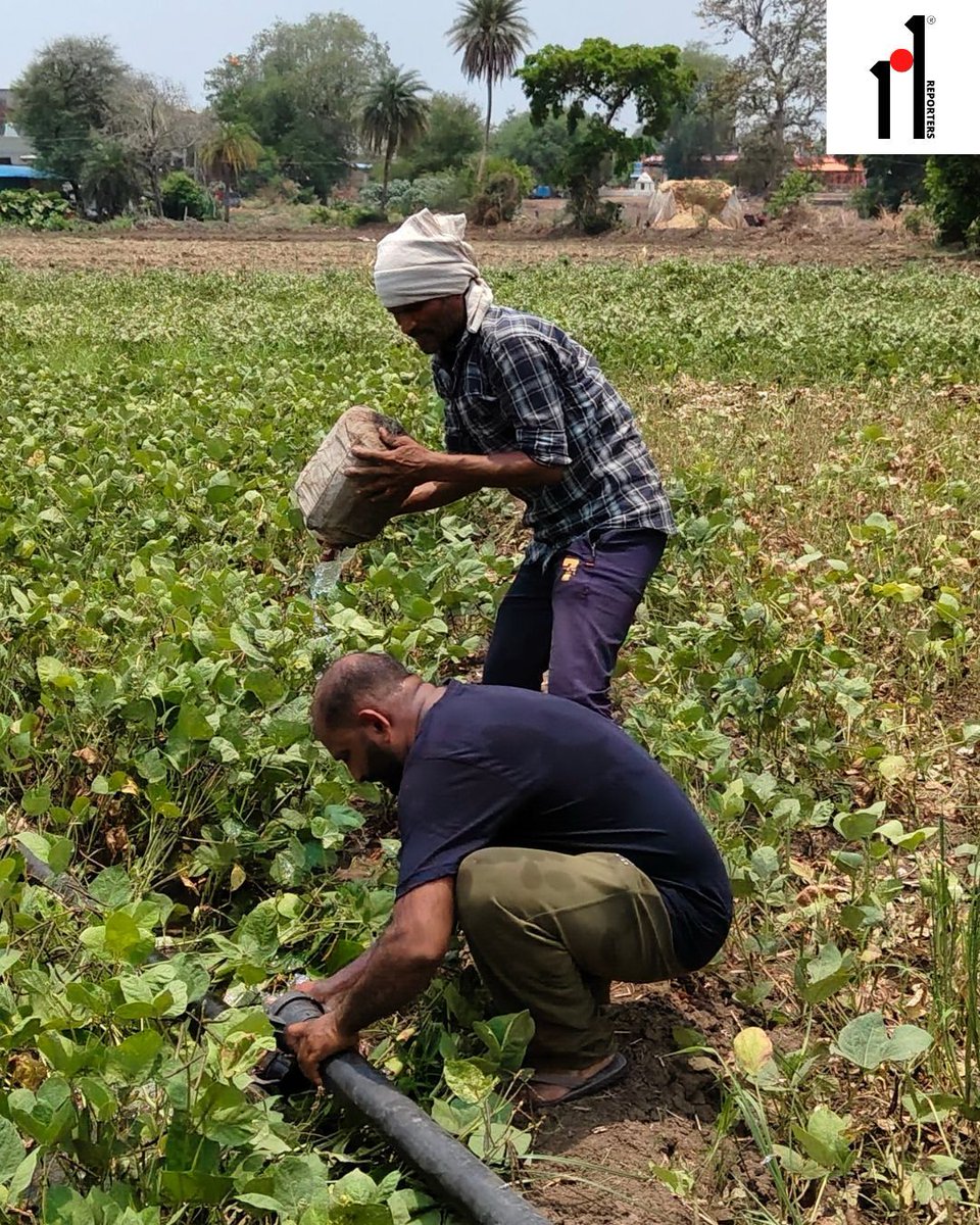 101reporters's tweet photo. Mission Mausam faces rural roadblock: How digital gaps and jargon keep weather forecasts from MP’s farmers

The central government’s weather app struggles to speak the language of farmers, limiting their ability to plan for an increasingly unpredictable climate. https://t.co/zYX9oKRLjY