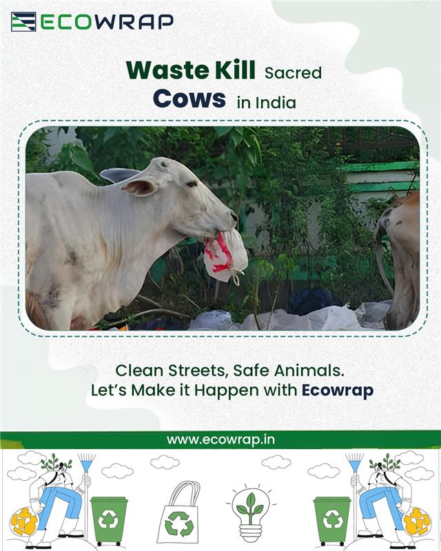 Ecowrap tweet media