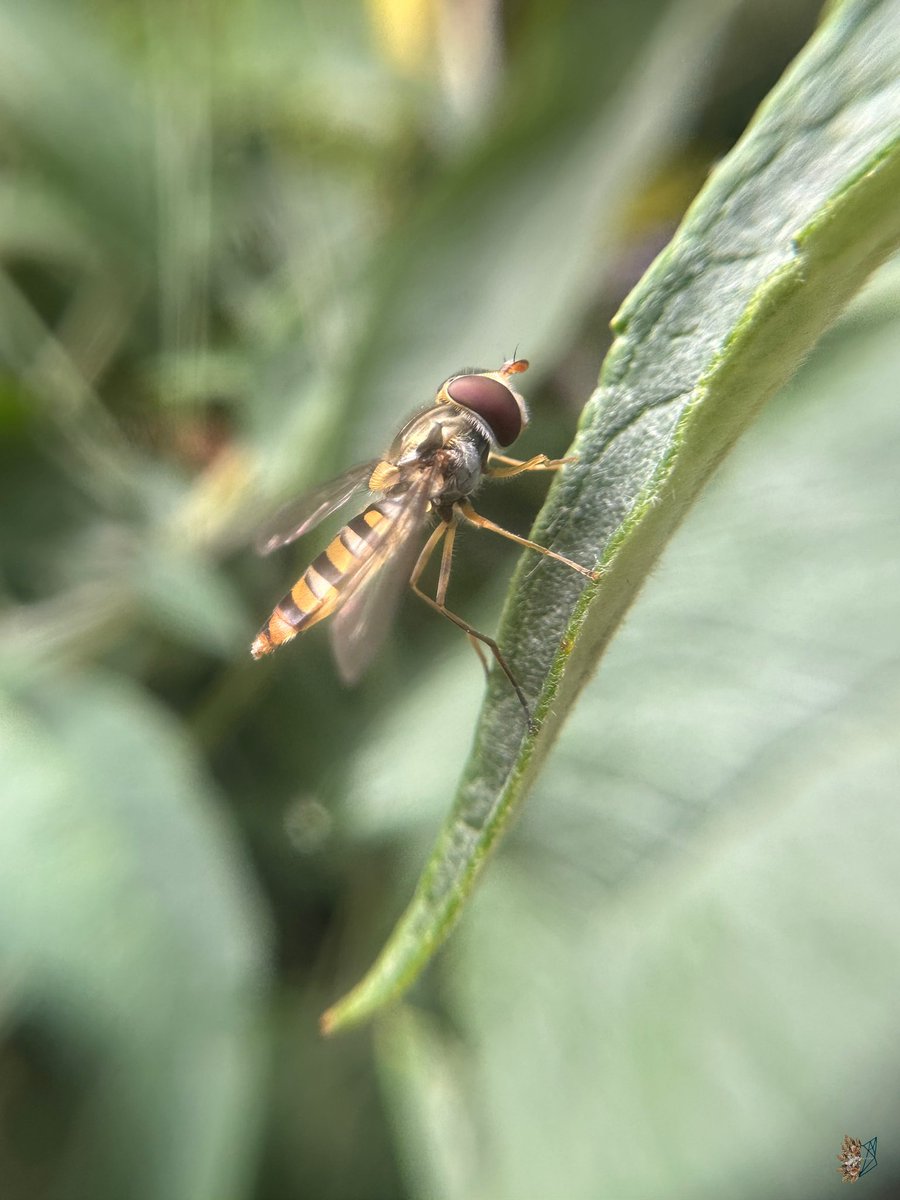 Gm! Another Monday, Another Macro.

#MacroMonday