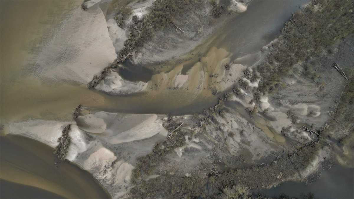 savePolesia's tweet photo. One year ago, the EU adopted the #NatureRestorationLaw—a historic chance to heal rivers. Yet Poland’s Siarzewo dam, part of the #E40Waterway, push the opposite direction. Restoring nature starts with stopping new barriers.
#Stop_E40 #FreeFlowingRivers
📷Vistula. Marek Elas https://t.co/wKFtpaMPtj