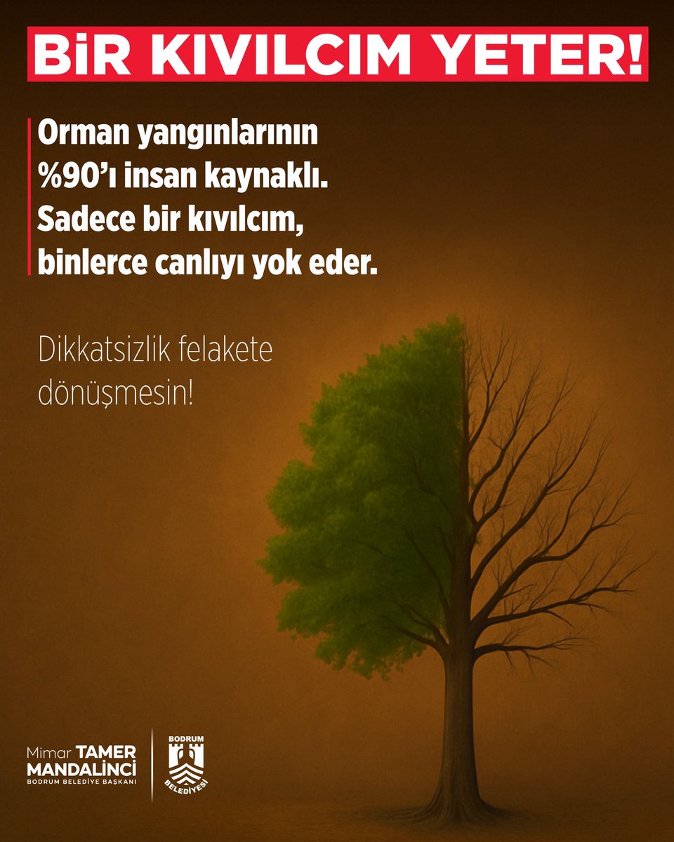 Bodrum Belediyesi (@bodrumbel) on Twitter photo 