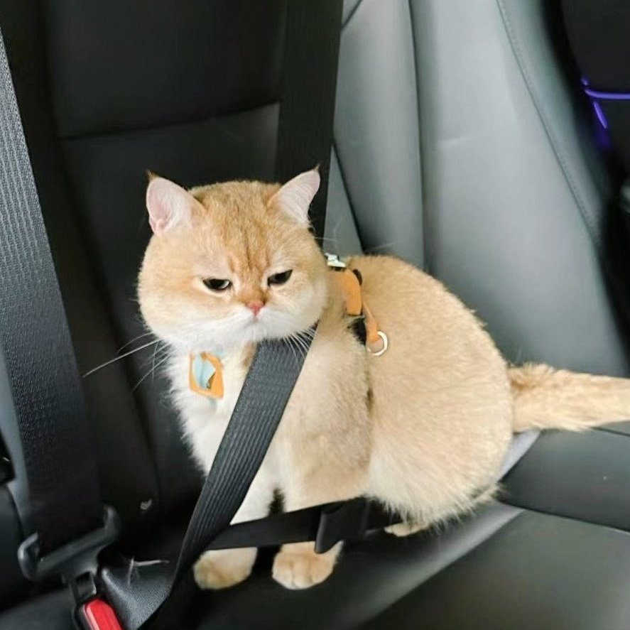 𝘈biy. tweet media