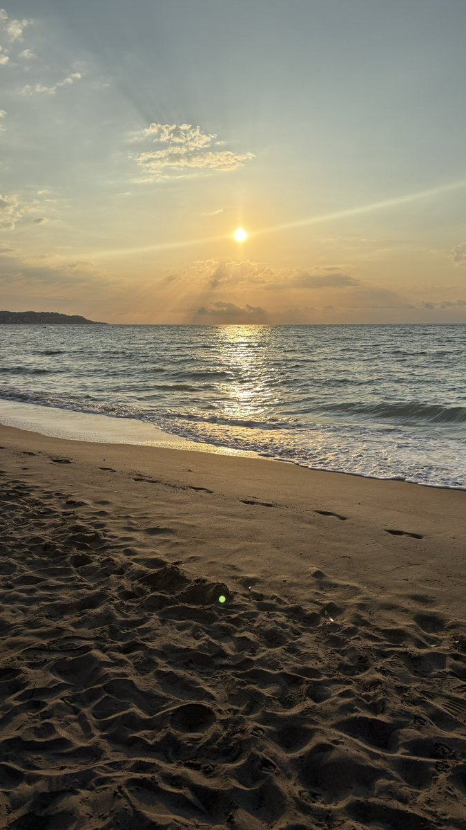 config_json's tweet image. gm