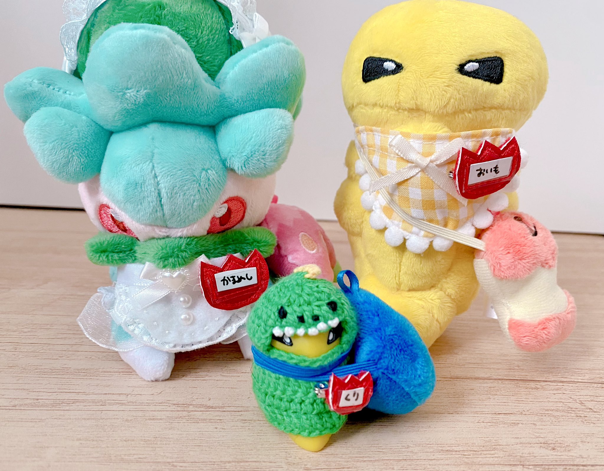 確認用　ポケモンキッズ ポケットモンスター