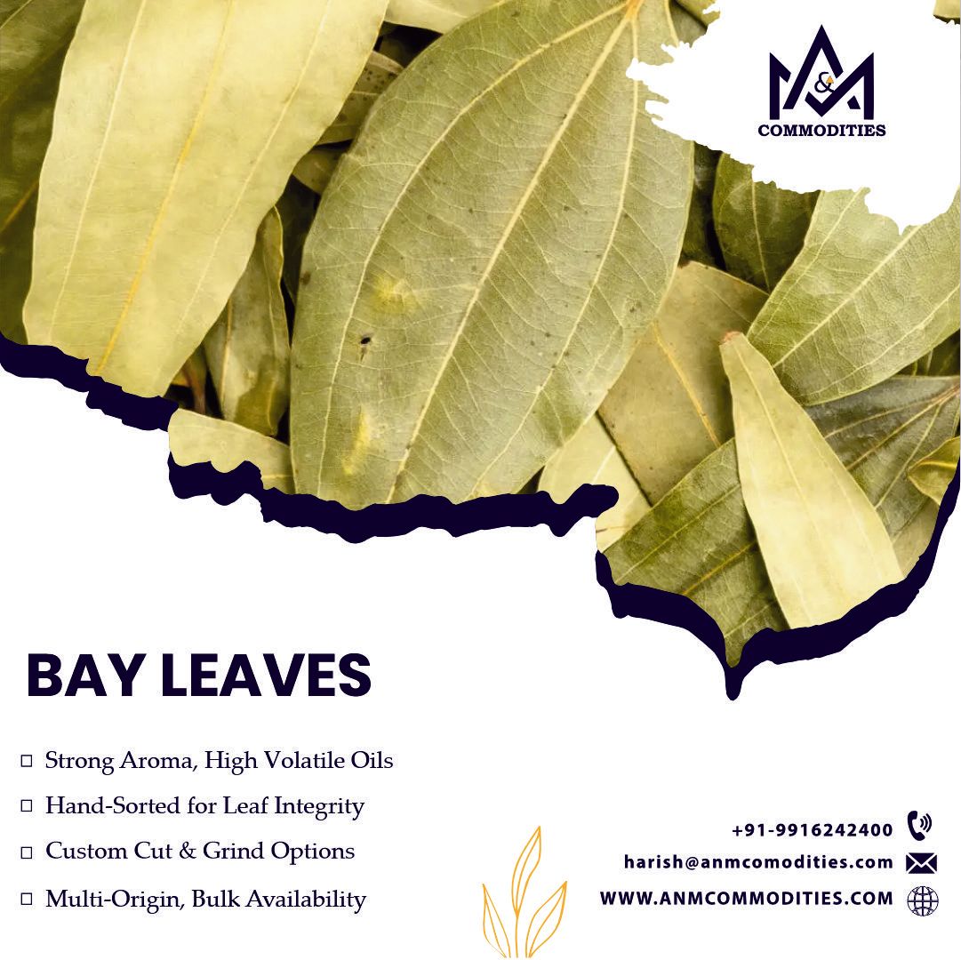 🌿 Export-Quality Bay Leaves from India!
📦 Whole/Semi-Whole | <12% Moisture
✅ For food processors, spice blenders &amp; wholesalers
🌍 Key markets: UAE, USA, Egypt
🔗 anmcommodities.com
📲 WhatsApp: buff.ly/g1SXTpw
#BayLeaves #SpiceExport #B2BSpices