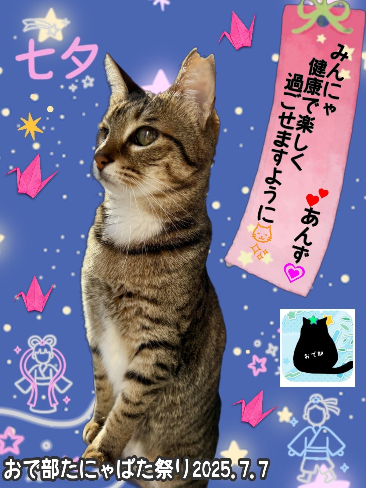 【ファッション好きが選ぶ人気ブランドランキング】 にゃんじろう on X:  スキー