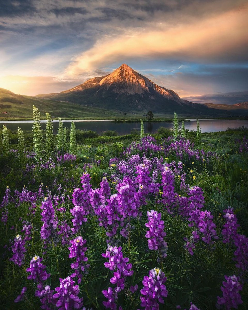 <a href="/Angelic49321092/">Angélic 🌻🌼🐝🐦🦋</a> <a href="/yourstrulyBinu/">𝕭𝖎𝖒𝖆𝖓𝖓 𝕭𝖎𝖘𝖜𝖆𝖓𝖆𝖙𝖍 𝕯𝖆𝖘/𝓑𝓲𝓷𝓾📿</a> <a href="/thanosna2014/">🌐 Θανος 🌅</a> <a href="/jareckikonecki/">@jareck</a> <a href="/ssd4004/">Fawaz⛵</a> <a href="/Shahbaz09878/">🌟💙🌟Shahbaz.....9878</a> <a href="/SeydShafee/">🌟💙🌟Shahram</a> <a href="/ErPervezN/">Er. Pervez</a> @Rusty82Fields <a href="/JohnDar25481354/">John Darling</a> <a href="/Naqash_ErPervez/">Pervez A Naqash</a> 
Good morning