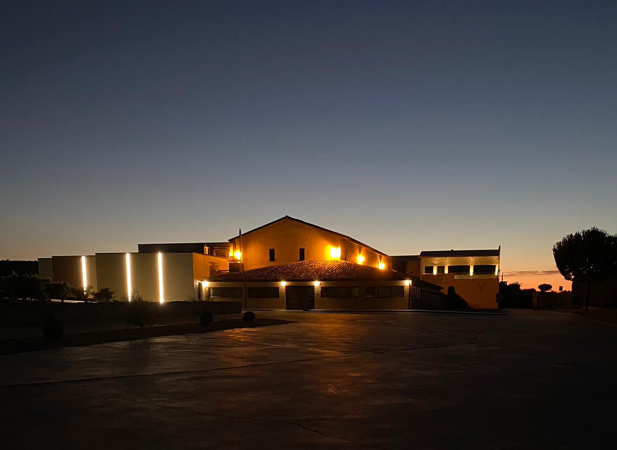 No trabajamos en ecológico solamente en el
campo.

Trasladamos nuestra filosofía también a la bodega,
donde nuestros paneles solares nos permiten
obtener una energía limpia.

También minimizamos el desperdicio de agua 💧