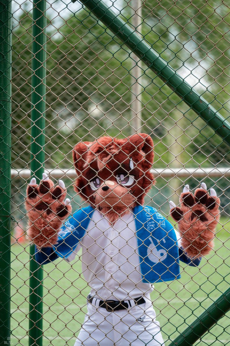 出してくれ！！！

🐢<a href="/bluetoufu3/">藍豆腐BT🧪🍞⏩️ UTFG</a>