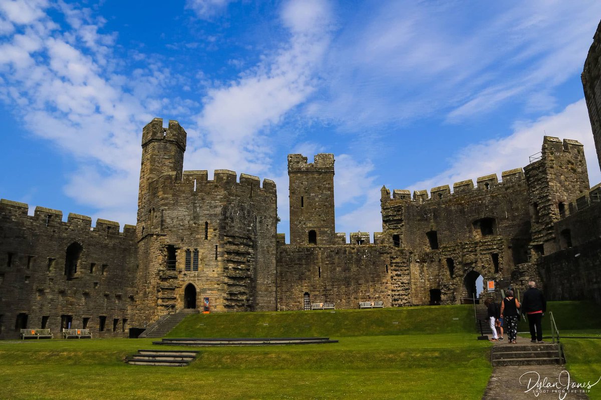 Shoot from the Trip tweet media