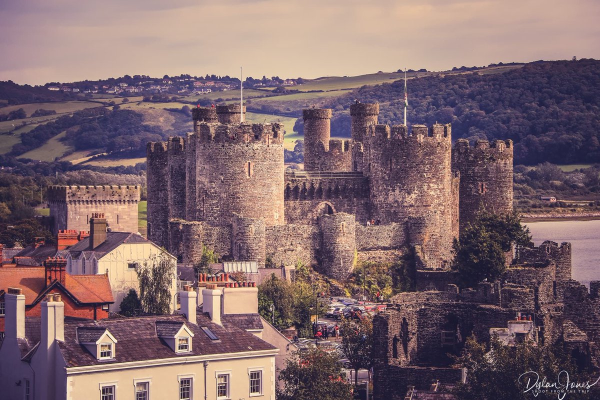 Shoot from the Trip tweet media