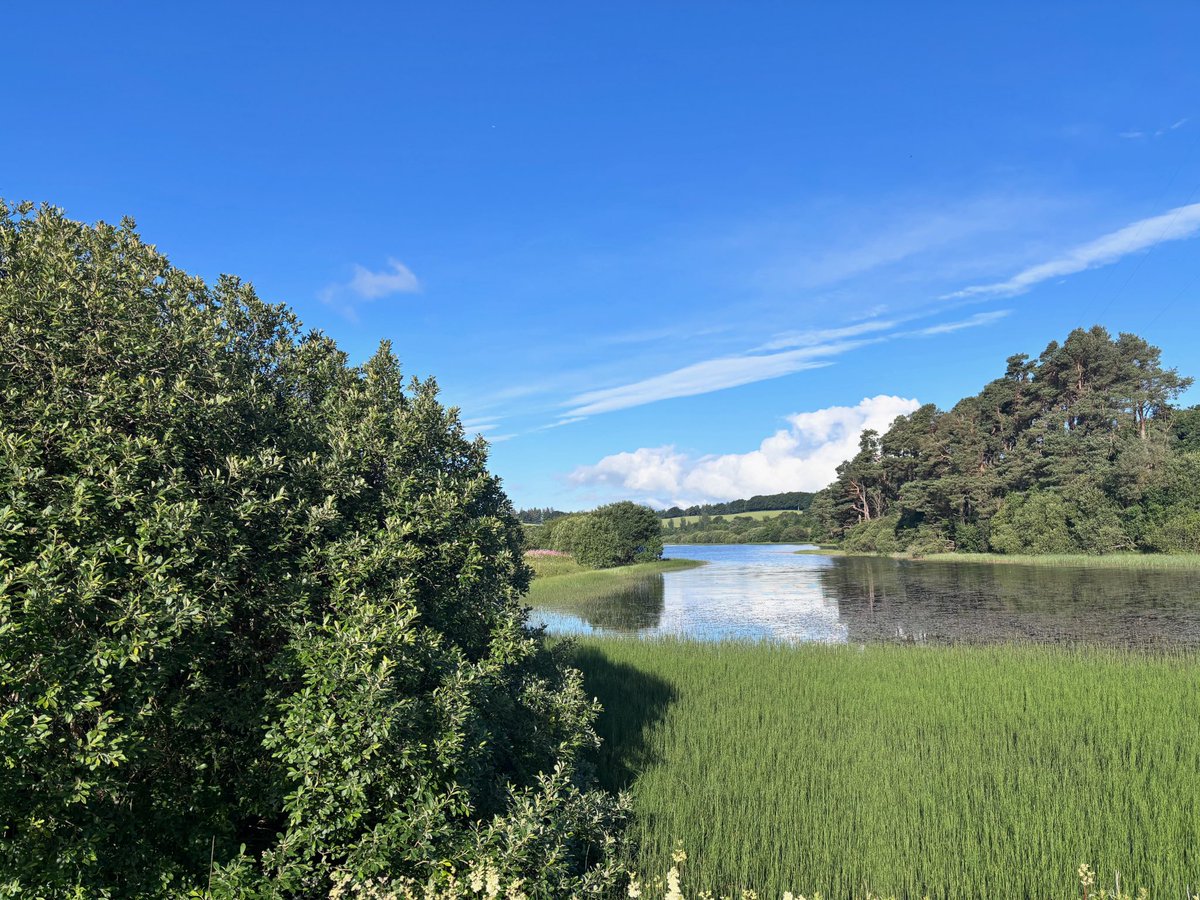 Perfect way to start the working week.