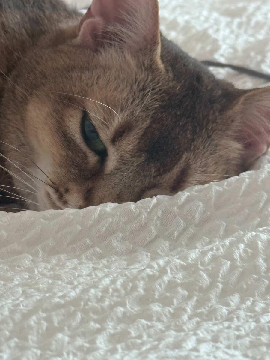 [250707] Kang Daniel IG Kanal Güncellemesi •

*sticker x3*

- “miyav miyav”

*foto*

- “Biraz dinlenmem gerek”

#KANGDANIEL #강다니엘