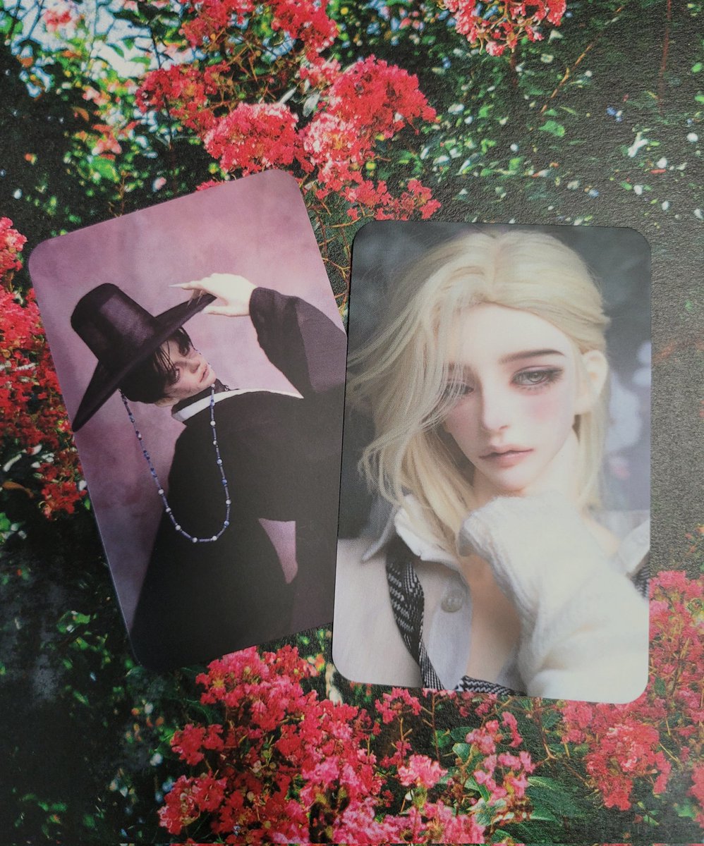 포토카드를 뽑아봤는데 귀엽네요❤️