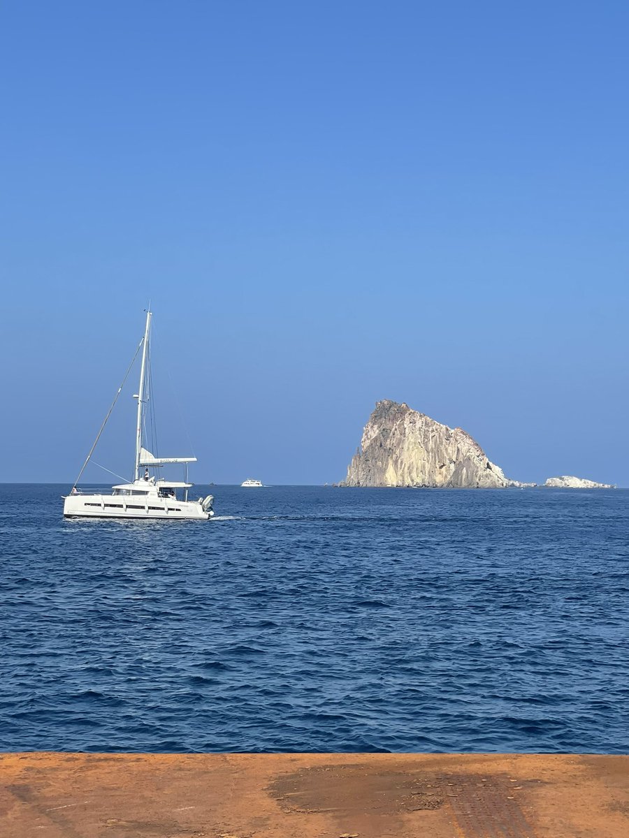 Nensi Coseani tweet media