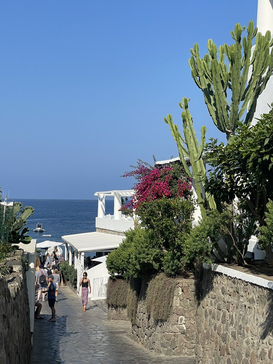 Nensi Coseani tweet media