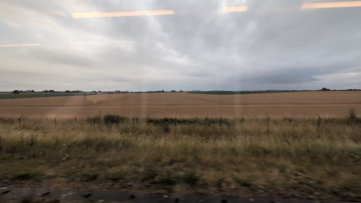 Somehow I ended up in the Netherlands.