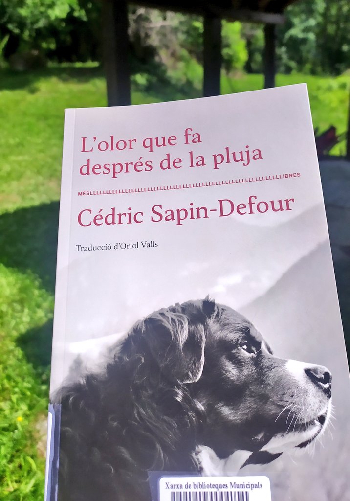 "Ens diem paraules tendres, això que sabem fer tan poc de normal, algun dia ja no necessitarem la pena per ser valents." 🤍