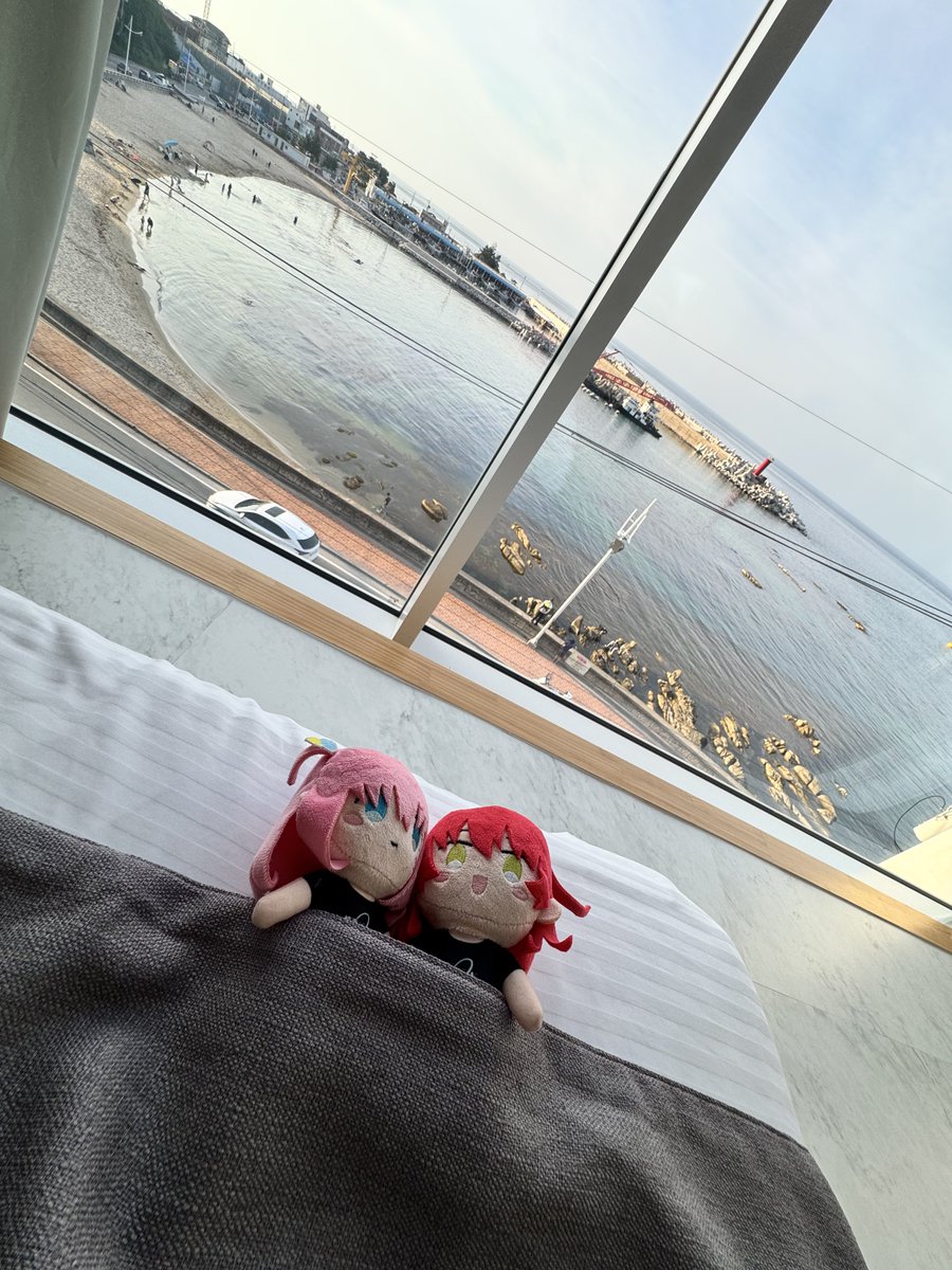 Krill_nanoo's tweet image. 