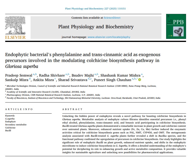 csirnbrilko's tweet image. Many Congratulations to Dr. PS Chauhan & team for the research paper "Endophytic bacterial's phenylalanine and trans-cinnamic acid as.......... modulating colchicine biosynthesis pathway in Gloriosa superba" published in 'Plant Physiology & Biochemistry' (IF 5.7).@akshasany