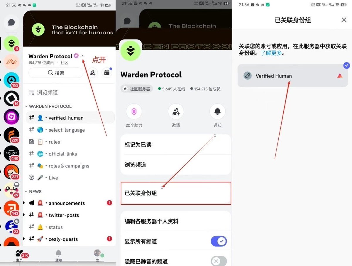 帮孟加拉老表拉点warden discord人性kyc单子