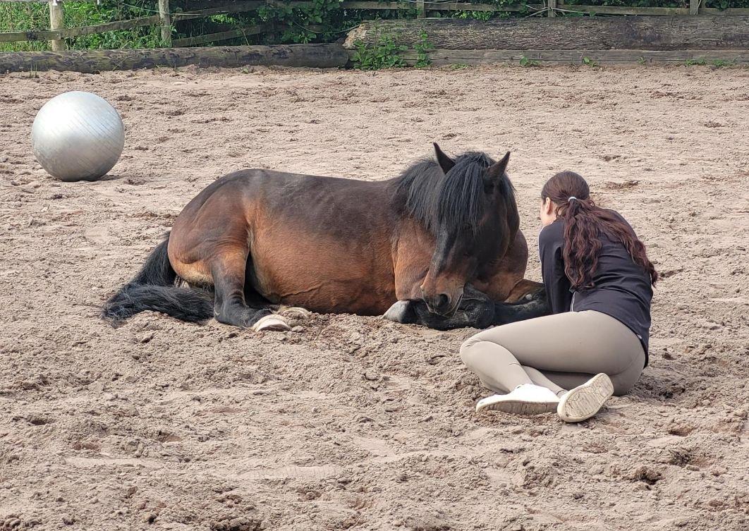 CoolmineTC's tweet image. Clients from Coolmine’s Kerry Hub in Tralee have just completed a 10-week Equine Assisted Therapy (EAT) group — and what a powerful journey it’s been!
A huge well done to all who took part
#CoolmineKerry #HealingWithHorses #EquineAssistedTherapy