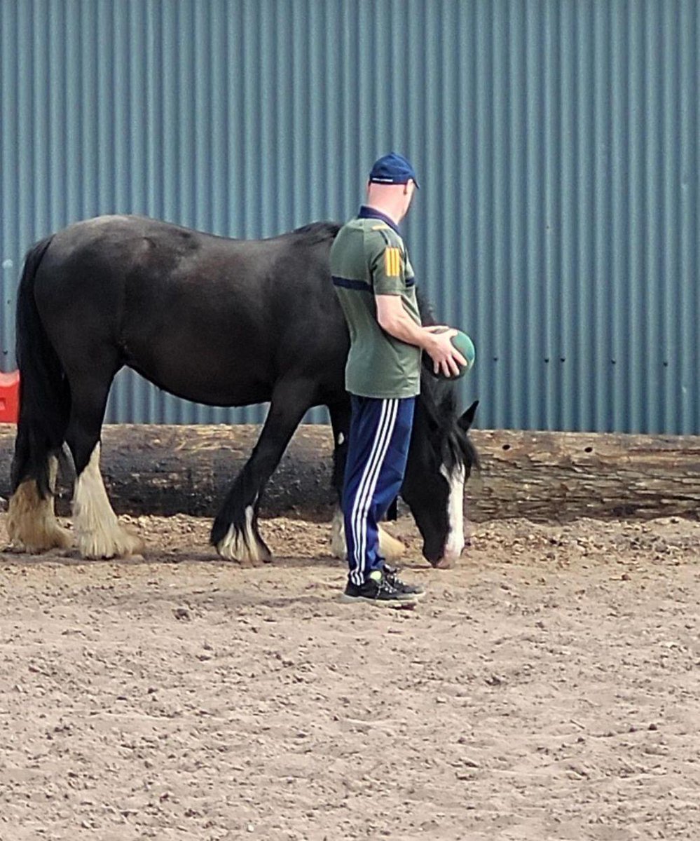 CoolmineTC's tweet image. Clients from Coolmine’s Kerry Hub in Tralee have just completed a 10-week Equine Assisted Therapy (EAT) group — and what a powerful journey it’s been!
A huge well done to all who took part
#CoolmineKerry #HealingWithHorses #EquineAssistedTherapy