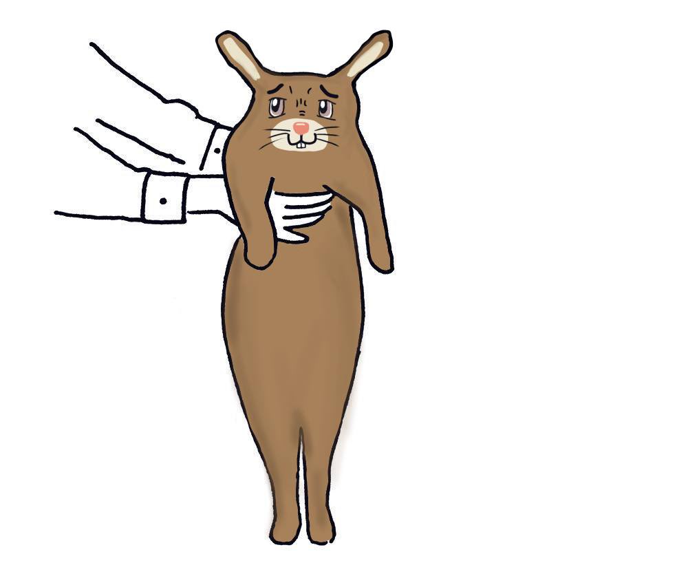 digitrabbits's tweet image. you don’t choose @digitrabbits wl

@digitrabbits wl chooses you