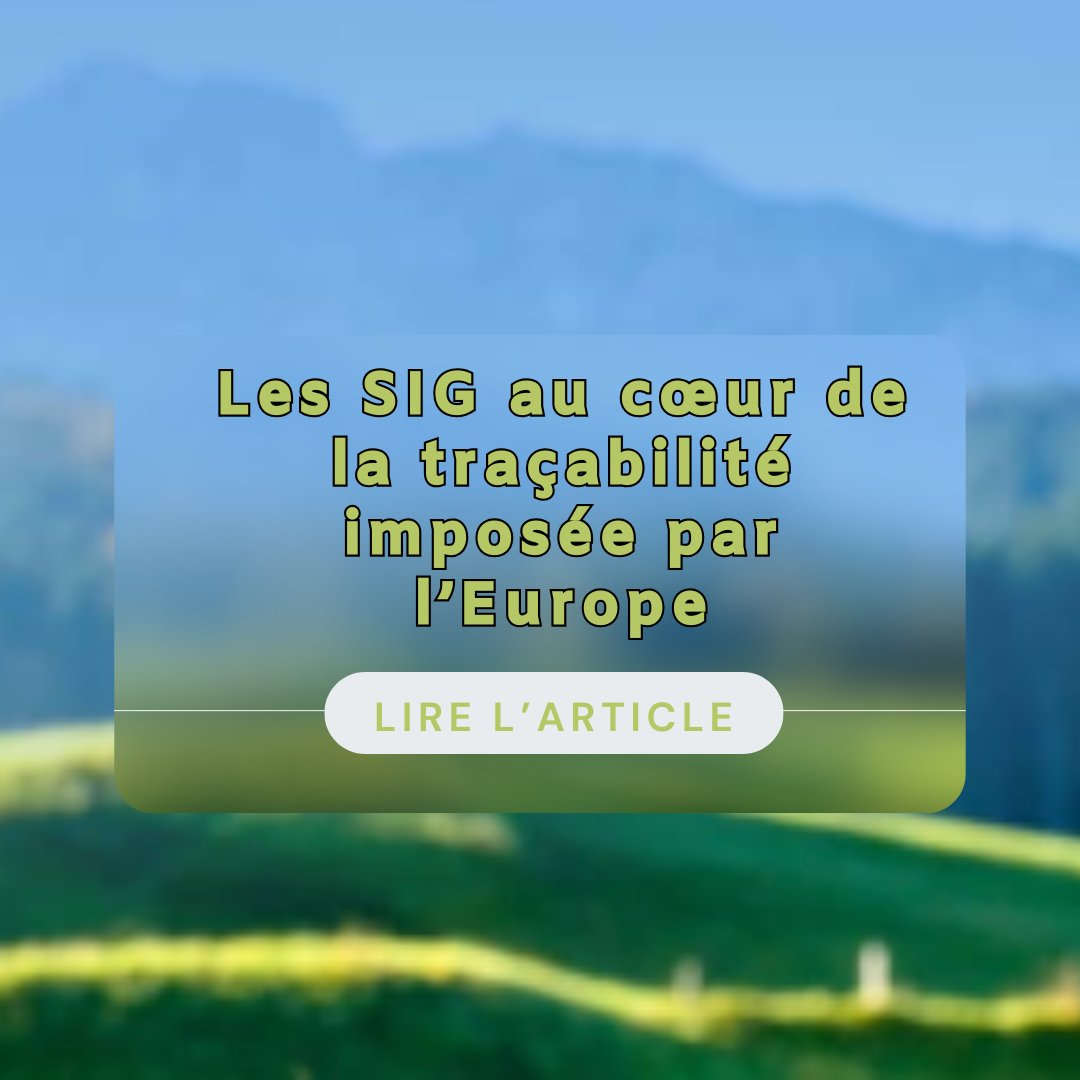 🌍 Une loi impose la géolocalisation dans les chaînes d’approvisionnement
Bétail, cacao, café, huile de palme, caoutchouc, soja, bois… Ces matières premières sont au cœur d’un tournant réglementaire majeur en Europe.
 
À partir de fin 2025, toute entreprise qui commercialise ces