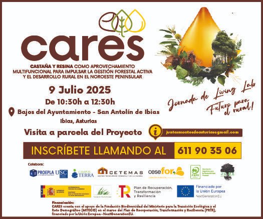 ¿Aún no te has inscrito al Living Lab este miércoles 9 julio en Ibias, Asturias? 
✔️ Hablaremos de formación, emprendimiento, aprovechamientos multifuncionales (resina y castaña)
 ✔️¡Haremos una visita a una parcela del proyecto!
#ProyectosPRTR #PlanDeRecuperación
<a href="/FBiodiversidad/">Fundación Biodiversidad</a>