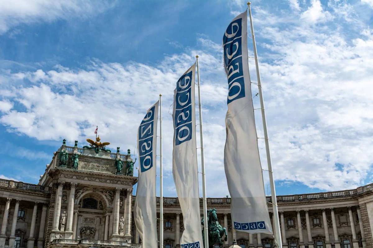 🎙️ #Mazur 
These facts contradict the Principles Governing Conventional Arms Transfers (1993), the OSCE Document on SALW (2000) and the Principles on Man-Portable Air Defence Systems Export Control (2008). Not so long ago our American colleagues were actively promoting the idea