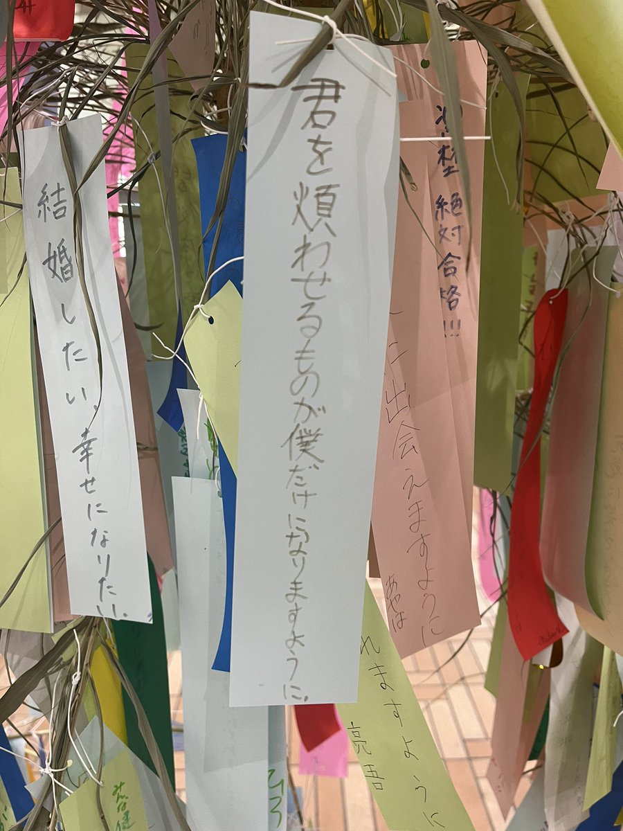 美しすぎて胸が苦しくなった