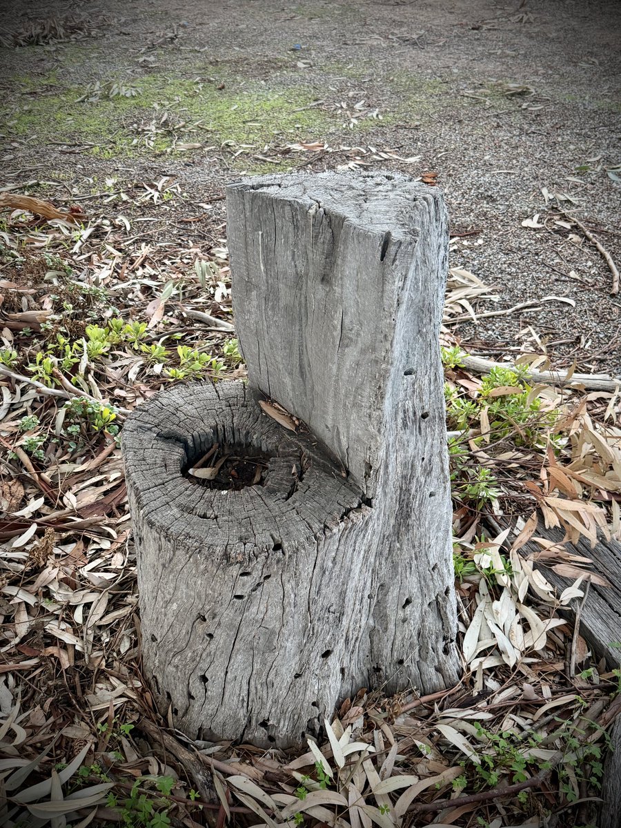 arborsmarty's tweet photo. When you gotta go, you gotta go. https://t.co/3f4GGeR8qU