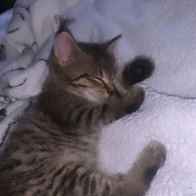 LERLGk3of's tweet photo. #NewProfilePic https://t.co/h12LC2RuIE