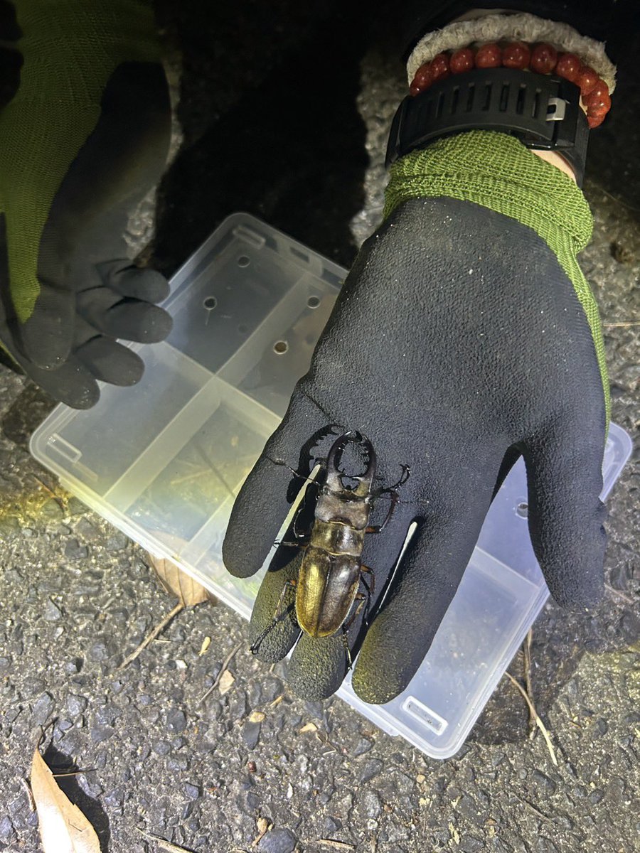 今年もほんとありがとう🙇