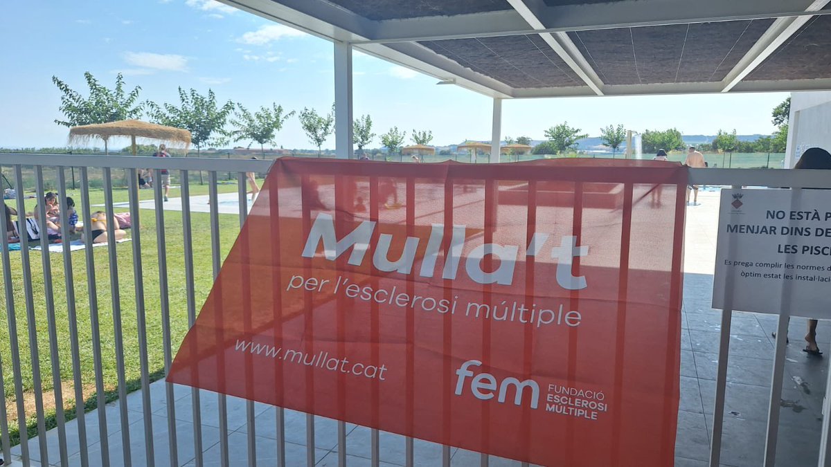 Ajuntament Benavent de Segrià (@ajbenaventdeseg) on Twitter photo Les piscines de Benavent es van omplir ahir de solidaritat amb el MULLA'T! Un any més vam tornar a participar en aquesta campanya per l'esclerosi múltiple i vam fer el salt multitudinari!! 💦🤸♀️
#benaventdesegrià #Mullat
<a href="/FundacioEM/">Fundació Esclerosi Múltiple</a> Les piscines de Benavent es van omplir ahir de solidaritat amb el MULLA'T! Un any més vam tornar a participar en aquesta campanya per l'esclerosi múltiple i vam fer el salt multitudinari!! 💦🤸♀️
#benaventdesegrià #Mullat
<a href="/FundacioEM/">Fundació Esclerosi Múltiple</a>